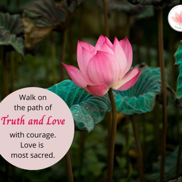 Human values reflection 2