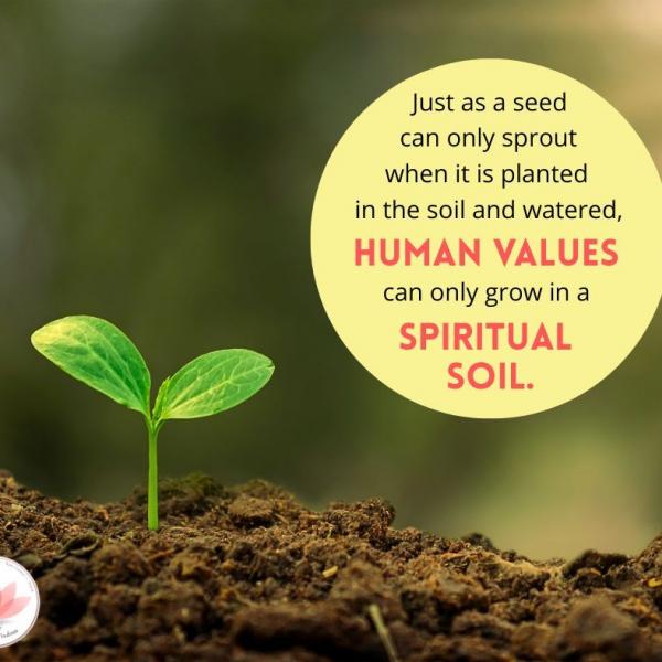 Human values reflection 8