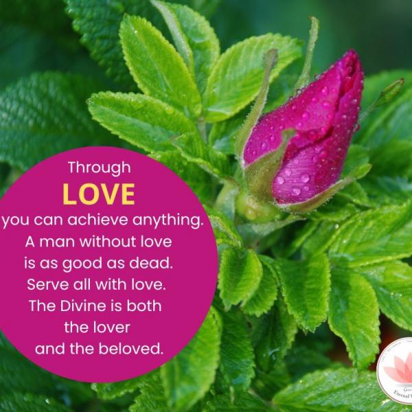 Human values reflection 9
