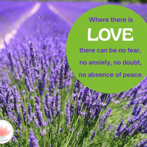 Human values reflection 11
