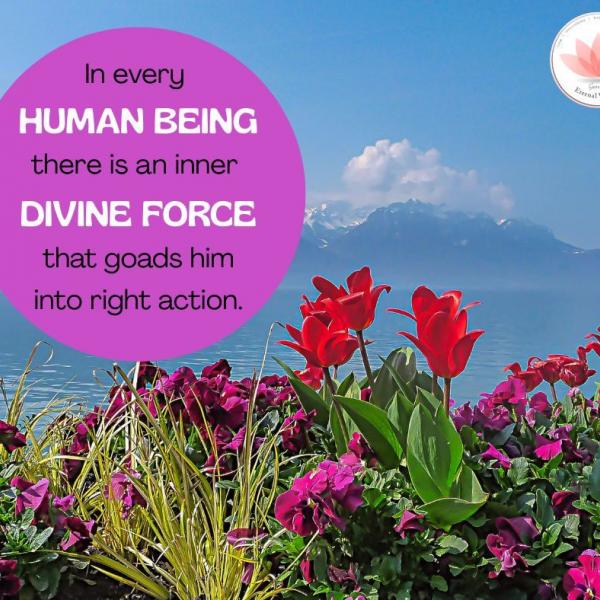 Human values reflection 12