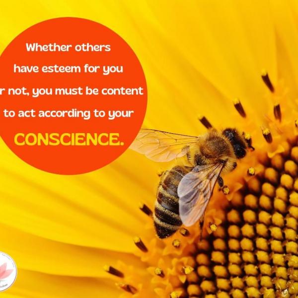Human values reflection 13