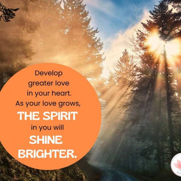 Human values reflection 15