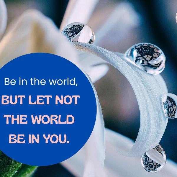 Human values reflection 16