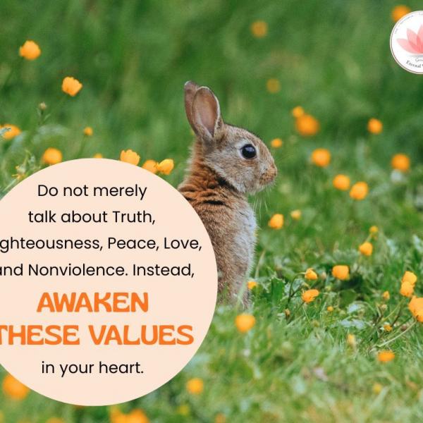 Human values reflection 17