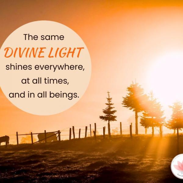 Human values reflection 20