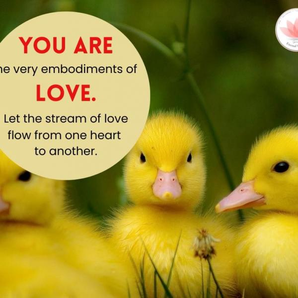 Human values reflection 23